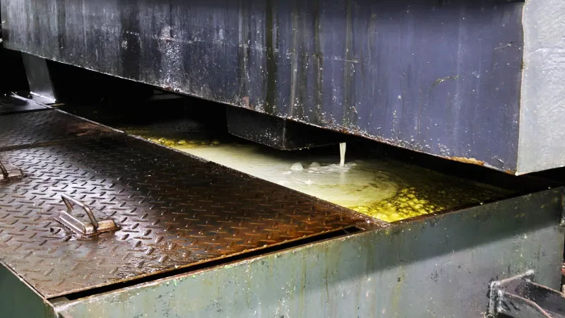 Lớp váng dầu này sẽ gây ra chuỗi hệ quả xấu.